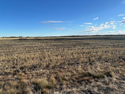 Ne-16-77-21-W5 Range Rd 213, Falher, AB 