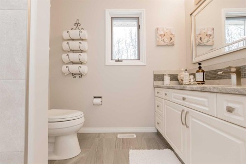 711044 Range Road 55, Grande Prairie, AB - Indoor Photo Showing Bathroom