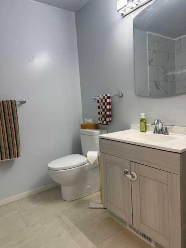 27 Bison Crescent, High Level, AB - Indoor Photo Showing Bathroom