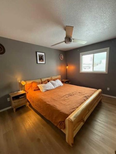 27 Bison Crescent, High Level, AB - Indoor Photo Showing Bedroom
