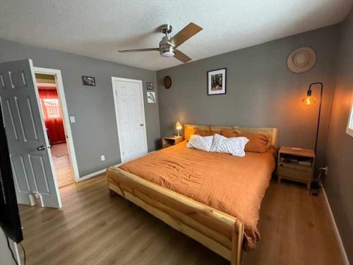 27 Bison Crescent, High Level, AB - Indoor Photo Showing Bedroom