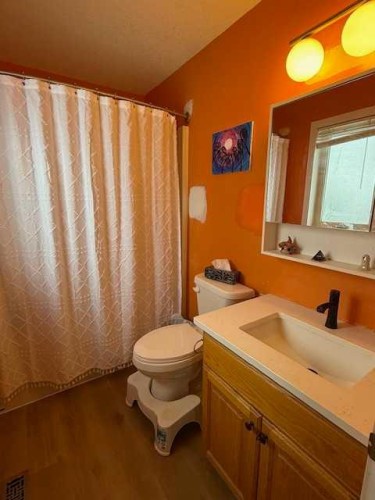 27 Bison Crescent, High Level, AB - Indoor Photo Showing Bathroom