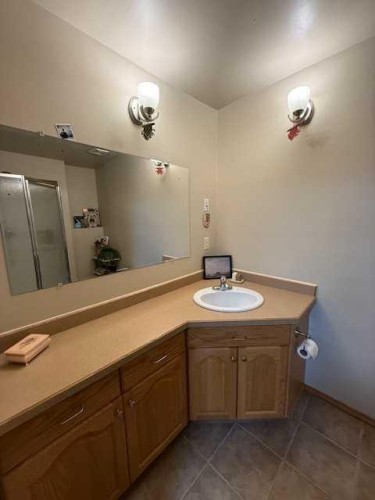 27 Bison Crescent, High Level, AB - Indoor Photo Showing Bathroom
