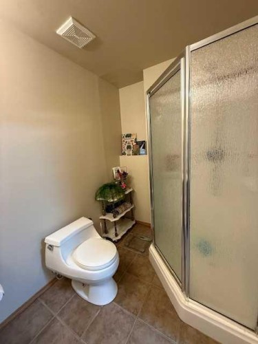 27 Bison Crescent, High Level, AB - Indoor Photo Showing Bathroom