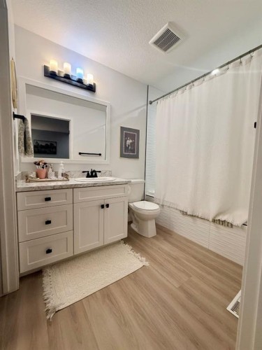 11101 104A Ave, La Crete, AB - Indoor Photo Showing Bathroom