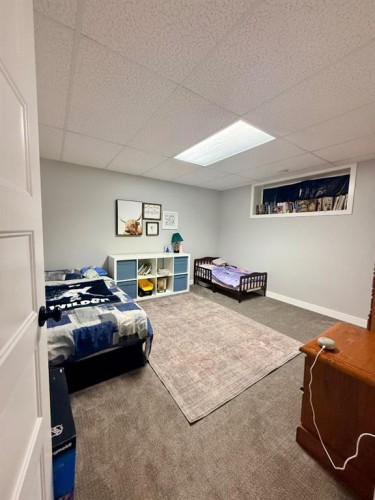 11101 104A Ave, La Crete, AB - Indoor Photo Showing Basement