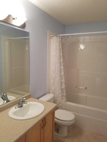 8814 114 Avenue, Grande Prairie, AB - Indoor Photo Showing Bathroom