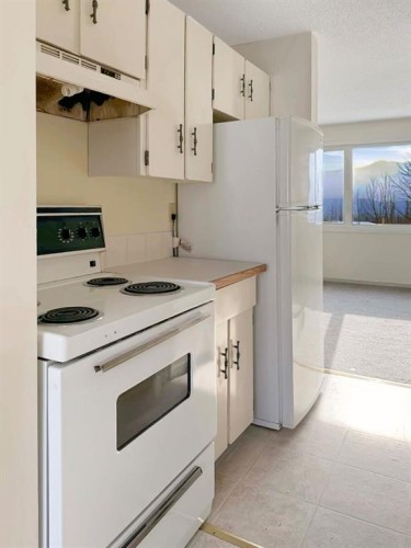 107 97Th Avenue, Grande Cache, AB - Indoor Photo Showing Kitchen