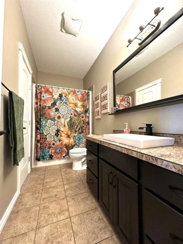 10401 Lexington Street, Rural Grande Prairie No. 1, County Of, AB - Indoor Photo Showing Bathroom