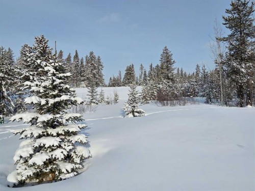 #1-63028 704 Township, Rural Grande Prairie No. 1, County Of, AB - Outdoor With View