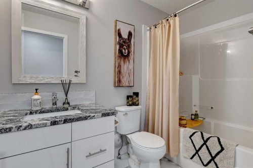 8614 88 Street, Grande Prairie, AB - Indoor Photo Showing Bathroom