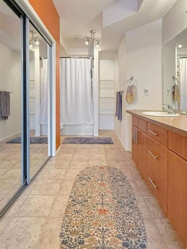 306-160 Moberly, Grande Cache, AB - Indoor Photo Showing Bathroom