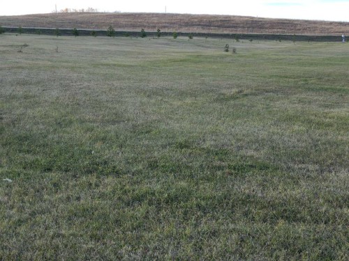 #13-70539 Rr 250, Rural Greenview No. 16, M.D. Of, AB 