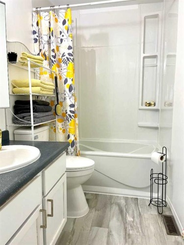 4516 45 Street, Rycroft, AB - Indoor Photo Showing Bathroom
