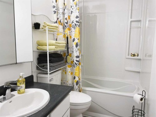 4516 45 Street, Rycroft, AB - Indoor Photo Showing Bathroom