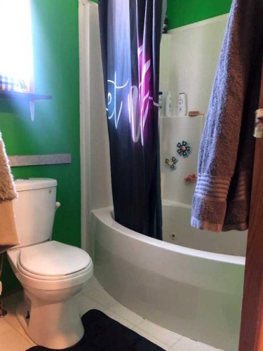 3 Dewberry Road, High Level, AB - Indoor Photo Showing Bathroom