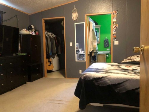 3 Dewberry Road, High Level, AB - Indoor Photo Showing Bedroom