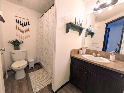 4523 51 Street, Rycroft, AB - Indoor Photo Showing Bathroom