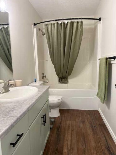 4 Boyer Close, High Level, AB - Indoor Photo Showing Bathroom