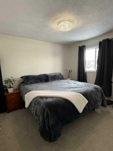 4 Boyer Close, High Level, AB - Indoor Photo Showing Bedroom