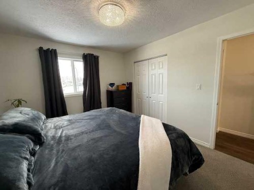 4 Boyer Close, High Level, AB - Indoor Photo Showing Bedroom