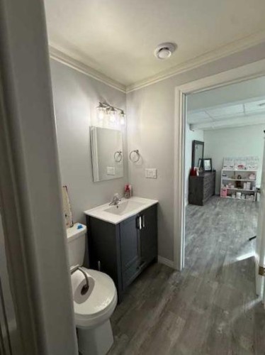 4 Boyer Close, High Level, AB - Indoor Photo Showing Bathroom