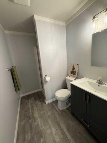 4 Boyer Close, High Level, AB - Indoor Photo Showing Bathroom