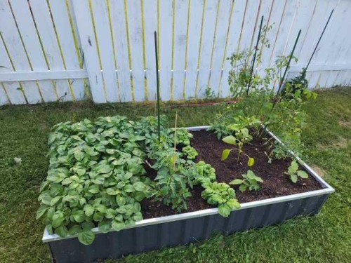 4 Boyer Close, High Level, AB - Outdoor