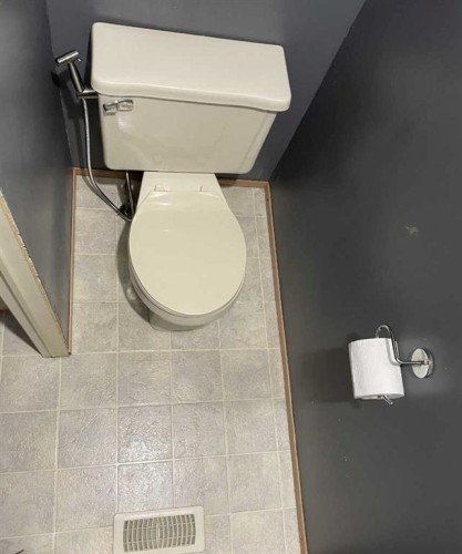 10508 98 Avenue, High Level, AB - Indoor Photo Showing Bathroom