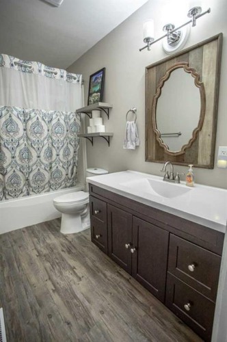 10011 100 Street, High Level, AB - Indoor Photo Showing Bathroom