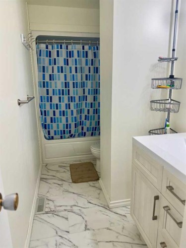 116 Central Avenue Nw, Falher, AB - Indoor Photo Showing Bathroom