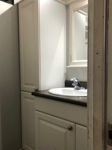 9908 105 Street, High Level, AB - Indoor Photo Showing Bathroom