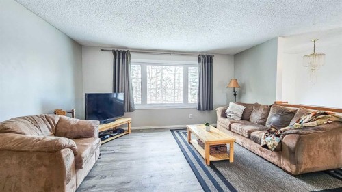 69565 Range Road 65, Grovedale, AB - Indoor Photo Showing Living Room