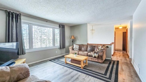 69565 Range Road 65, Grovedale, AB - Indoor Photo Showing Living Room