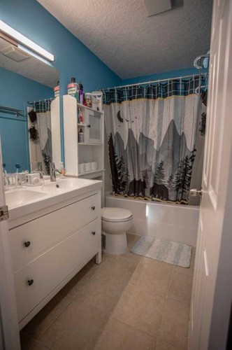 3 Boyer Close, High Level, AB - Indoor Photo Showing Bathroom