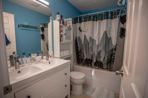3 Boyer Close, High Level, AB - Indoor Photo Showing Bathroom