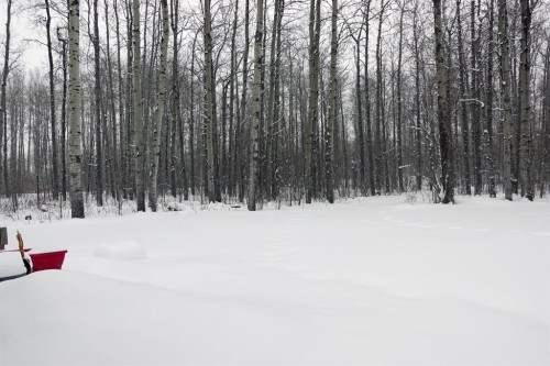 403-69402 Range Road 82, Grovedale, AB 