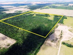 10024 Township Road 820  Rural Fairview No. 136, M.D. Of, AB T0H 3T0