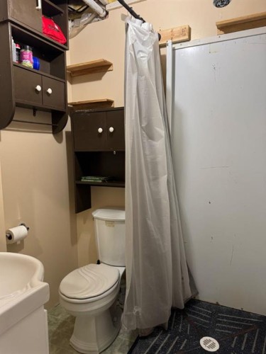 11721 103 Avenue, Fairview, AB - Indoor Photo Showing Bathroom