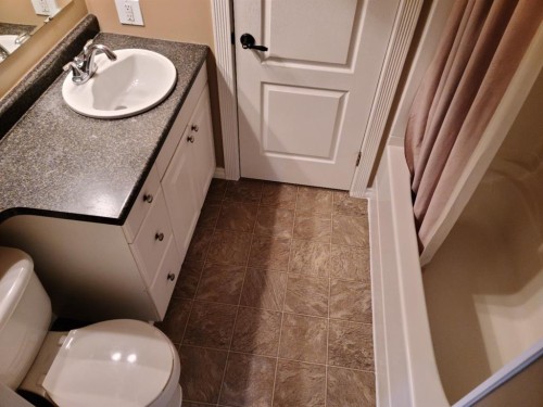 7413 96 Street, Peace River, AB - Indoor Photo Showing Bathroom