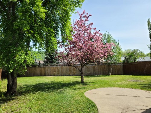 7413 96 Street, Peace River, AB - Outdoor With Backyard