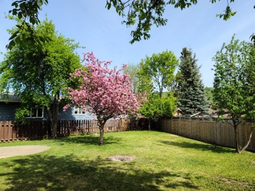 7413 96 Street, Peace River, AB - Outdoor With Backyard