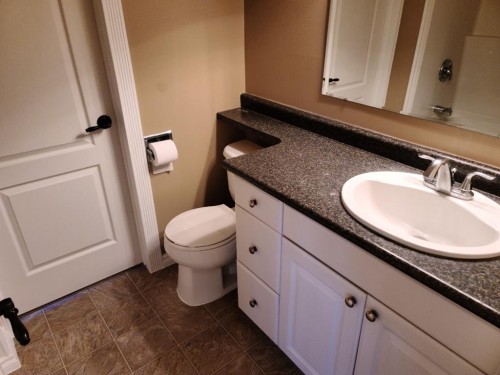 7413 96 Street, Peace River, AB - Indoor Photo Showing Bathroom