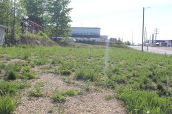 202 4th Avenue Manning, AB T0H 2M0