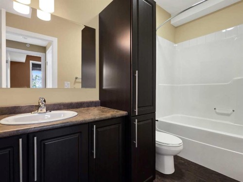 411-160 Moberly Road, Grande Cache, AB - Indoor Photo Showing Bathroom