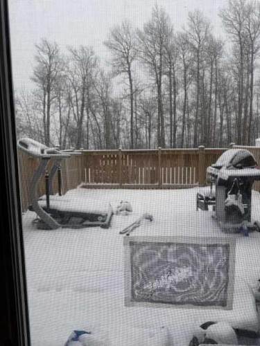 19 97, Grande Cache, AB - Outdoor