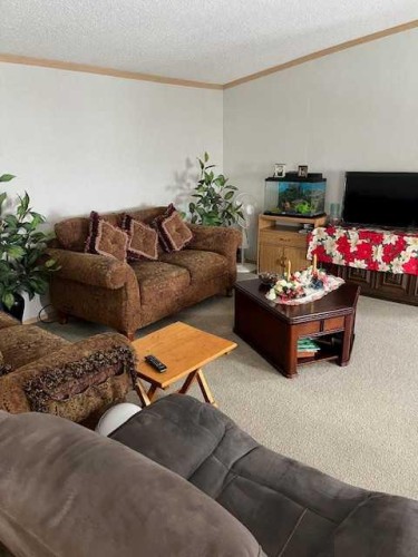 303 4Th Avenue Sw, Manning, AB - Indoor Photo Showing Living Room
