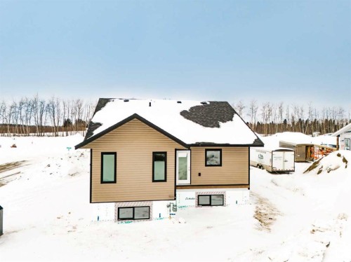 11113 104 Ave, La Crete, AB - Outdoor