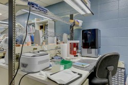 10018 101 Avenue  Grande Prairie, AB T8V 0Y1