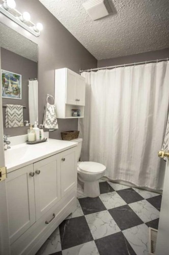 10403 106 Avenue, High Level, AB - Indoor Photo Showing Bathroom